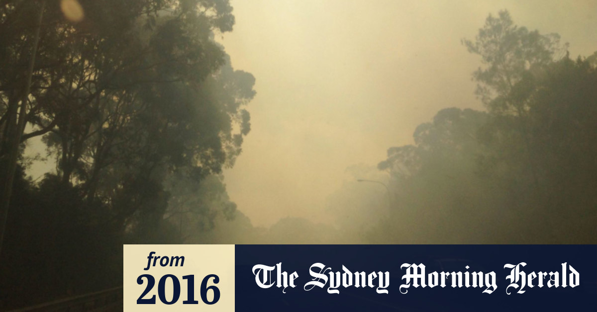 Controlled burning operations in North Sydney cause heavy ...