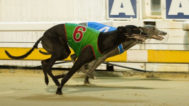 Shadow minister for racing and gaming Mark Parton will call on the ACT government to  explain what consultation they had with the greyhound racing industry before announcing the future ban. 