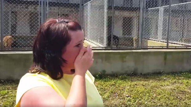 Kerry Elliman cries as she recounts the plight of the dogs that came from Australia.
