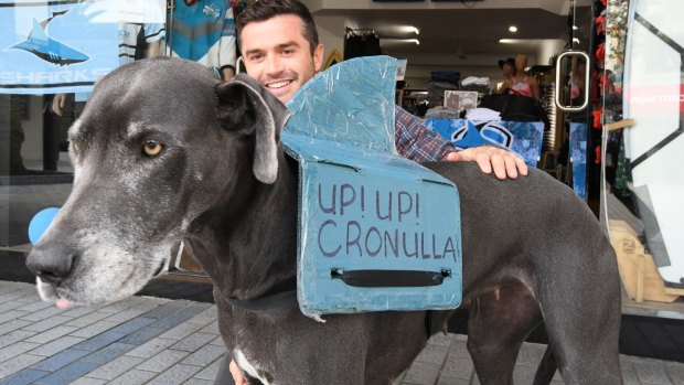 Fans of all shapes and sizes: The whole Shire community has rallied around the Sharks.