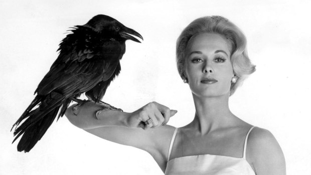 Tippi Hedren in a promotional shot for <i>The Birds</i>.
