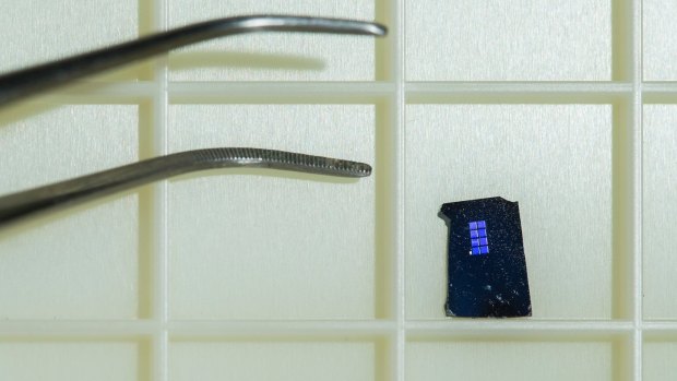 The research used tiny wires to provide a scaffold for brain cells grown on a semiconductor chip.
