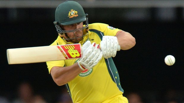 In a spin:  Aaron Finch.