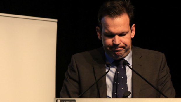 Resources Minister Senator Matt Canavan's position will be considered by the High Court after he claimed his mother made him a dual citizen without his knowledge.