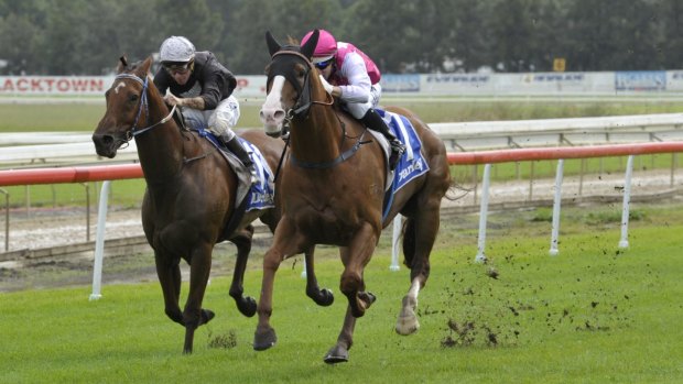 Mudlark: Oxford Poet (right) and Brenton Avdulla take out the only race at Hawkesbury on Saturday.