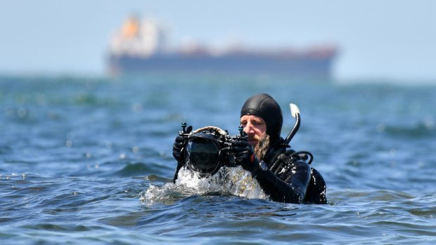 Dr Julian Finn explores the water at Williamstown for the weirdest marine creatures.