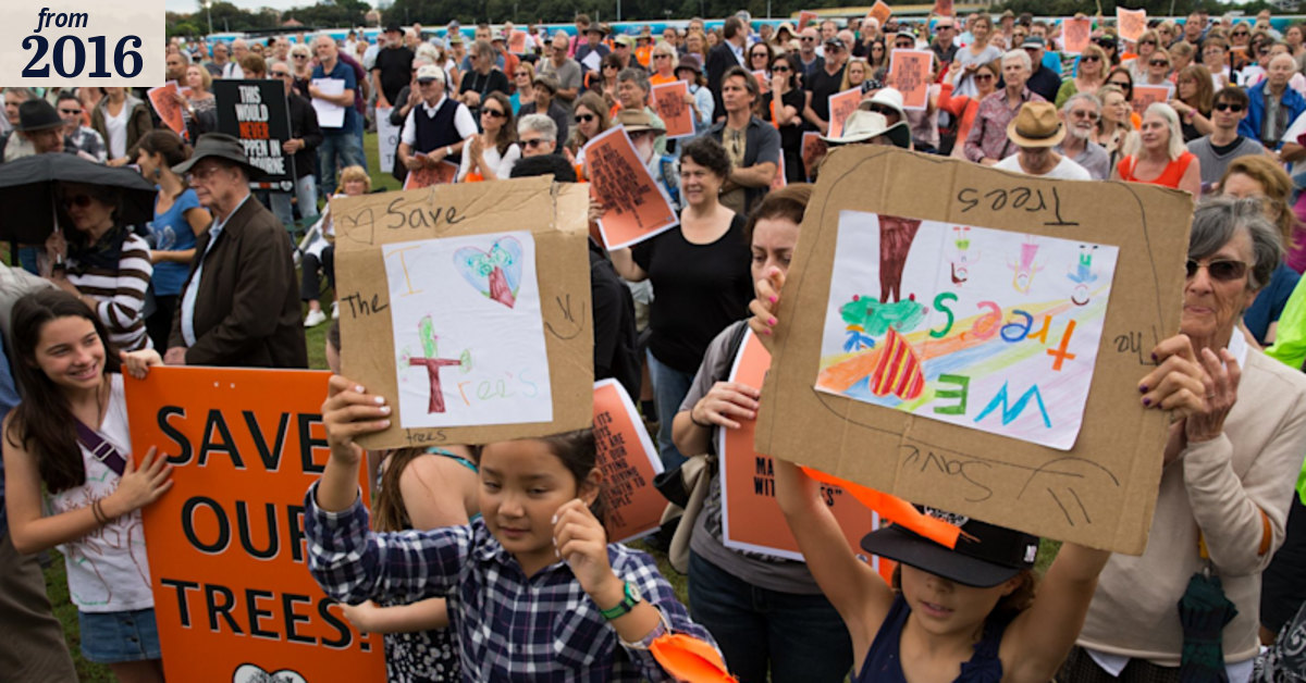 Protestors gather to save Sydney's trees and Aboriginal past