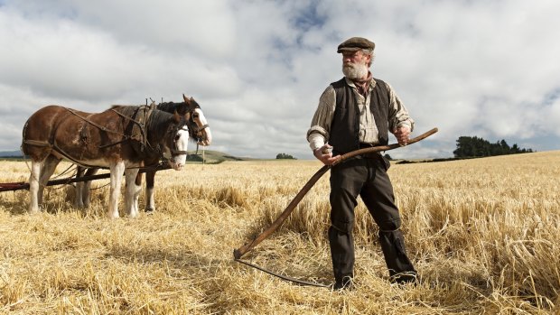 Painterly landscapes: Peter Mullan as John Guthrie in Terence Davies' Sunset Song.