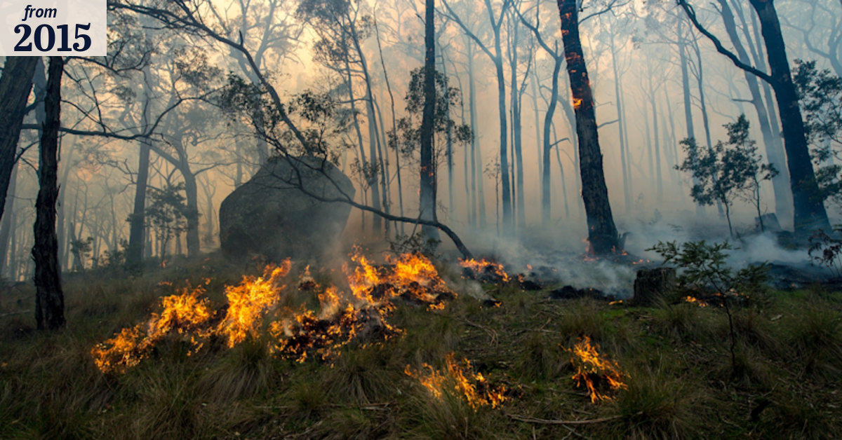 Soaring temperature, strong winds puts Victorians on fire alert