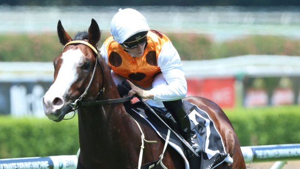 One to watch: The Gerald Ryan-trained Menari looked in great shape at the Rosehill trials.