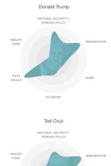 A focus on race. Social media topic discussions related to candidates in January - visualised by MIT Media Lab. 