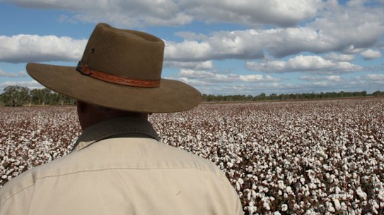 Attempts to open up Telstra's regional mobile network to roaming could reduce investment, the telco's CEO warns. 