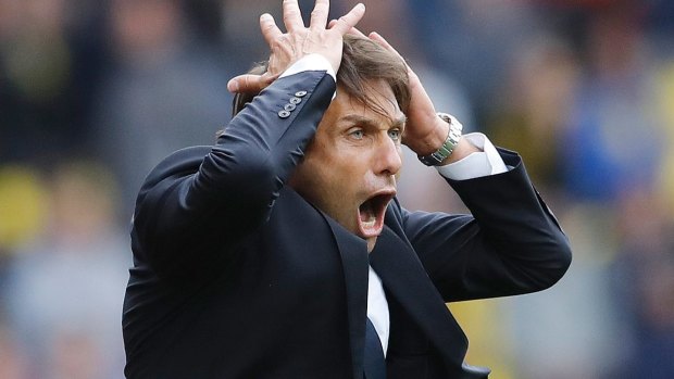 Chelsea's manager Antonio Conte gets excited at Vicarage Road.