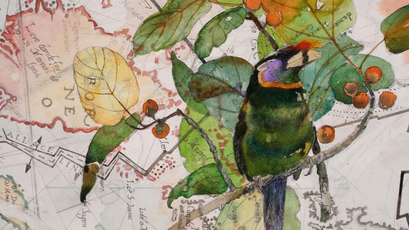 Artist John Wolseley S New Book Land Marks Iii Maps