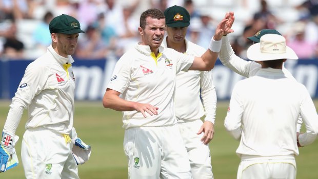 Blowing away the cobwebs: Peter Siddle celebrates taking a wicket .