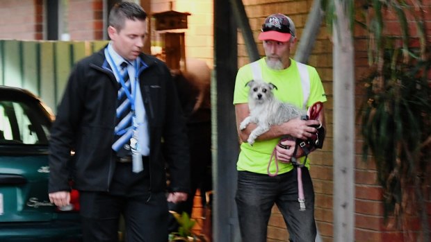 A dog is taken away from the Glenroy property.