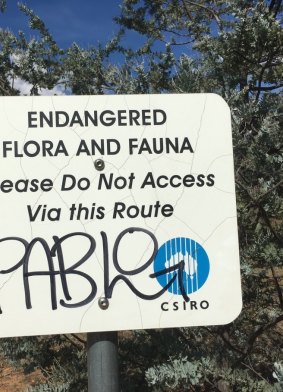 A sign warning of endangered plants and animals at the former CSIRO site at Mount Ainslie. The sign has now been removed.