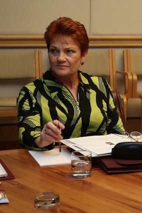 Senator Pauline Hanson said police were downplaying terrorism links.