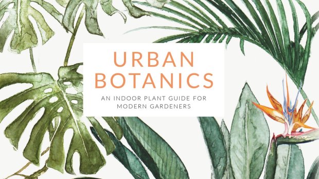 Urban Botanics, by Emma Sibley $35.