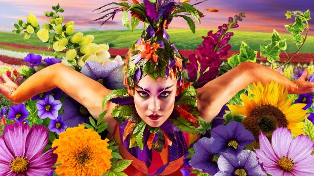 Tessellar's flower farm is hosting a KaBloom Circus spectacular.
