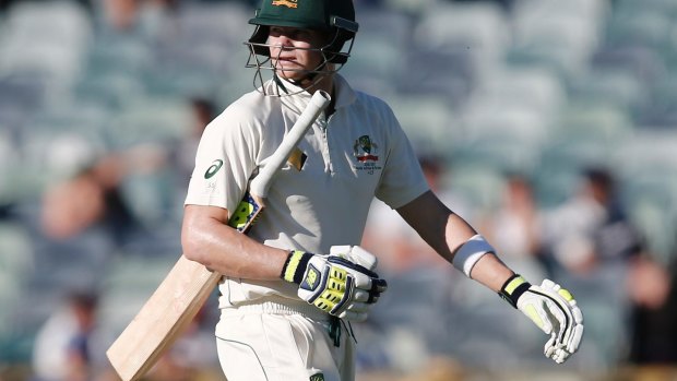 Controversy: Waugh admits Steve Smith's second innings dismissal was a potential game-changer.