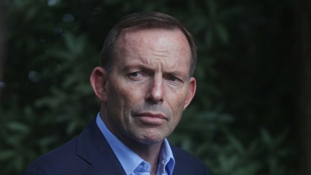 Prime Minister Tony Abbott should now act on constitutional recognition of Indigenous Australians. 