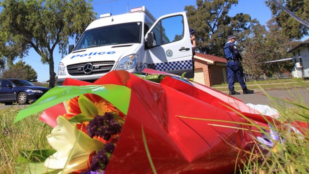 There was no graphic image of the the seven-year-old boy from Lalor Park in Sydney's north west, after he was stabbed to death and found in the yard of his neighbour.