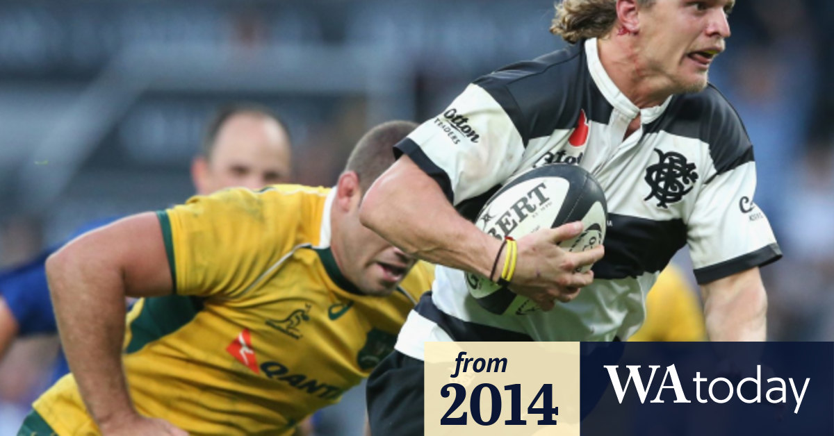 Nick Cummins' eye-catching efforts remind Wallabies what ...