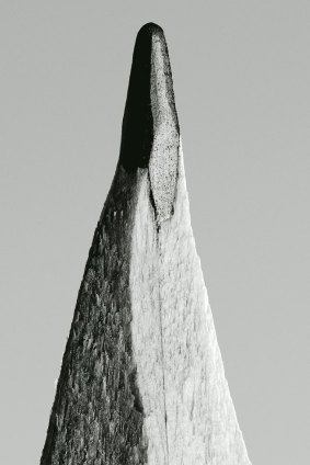 Comedian Stephen Fry's pencil.