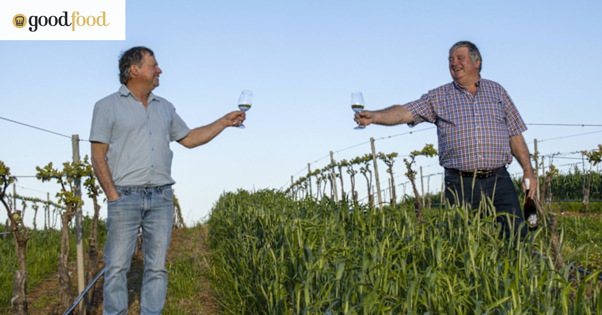 Kerner: The intriguing white grape variety that might convert committed ...