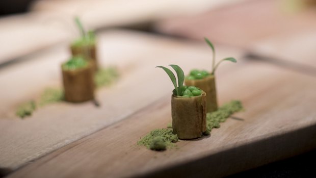 Servings of ''goat brain'' sit on a tray in the kitchen of Gaggan restaurant in Bangkok.