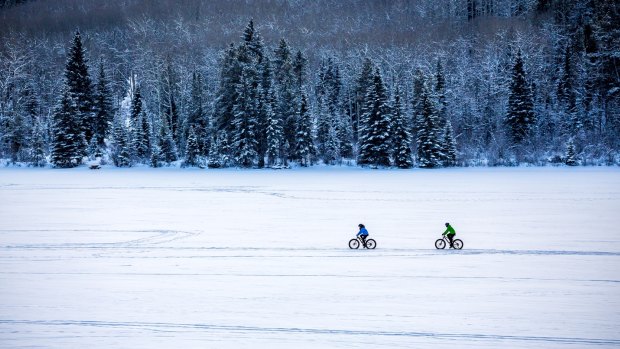 Fat biking in frosty Alberta, Canada.