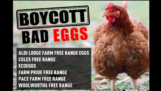 Choice is calling for a boycott of certain brands and has launched an augmented-reality app CluckAR.
