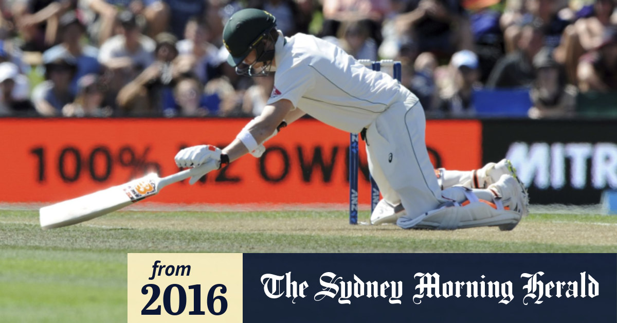 Australia v New Zealand, second Test: Steve Smith scores tough-as-nails Test ton