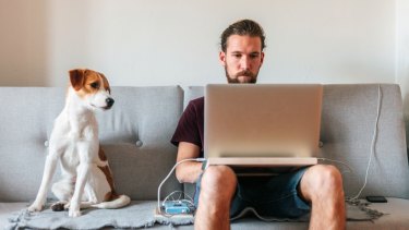 Research shows that insecure housing, including difficulties finding pet-friendly rental properties, is a key factor driving people to relinquish their pets.