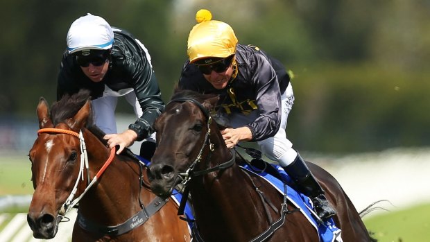 Unlikely to back up: Kerrin McEvoy riding Excess Knowledge (right) wins the Doncaster Prelude at Rosehill Gardens on Saturday.