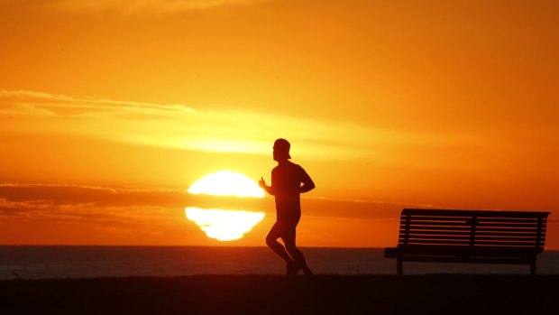 Sydney is expecting a scorcher until the end of the week.