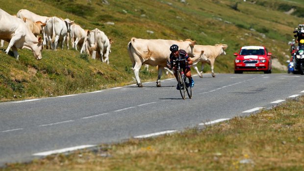 Safely through: Warren Barguil takes evasive action on the downhil of the Col du Tourmalet.