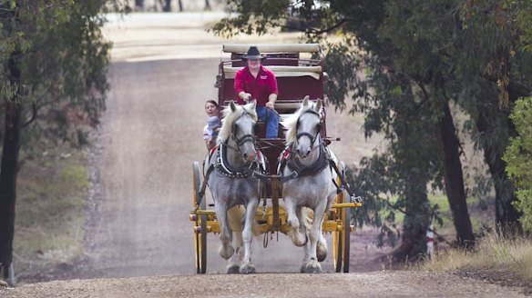 Mathew Jones with his wife Sarah and one-year-old son Jackson go for a ride in their Cob & Co coach. Mr Jones will attend the Lost Trades Fair this weekend in Kyneton. 