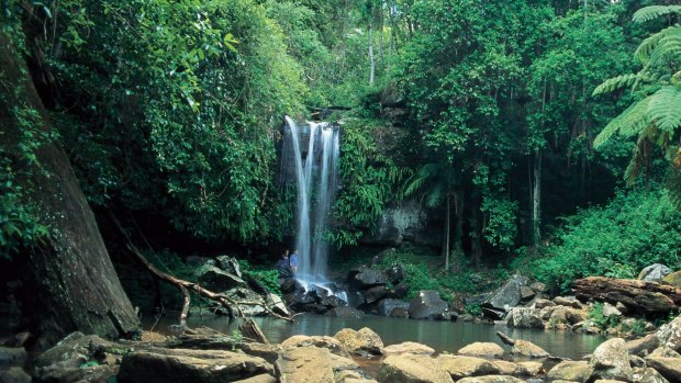 The rape took place during a trip to Mount Tamborine.