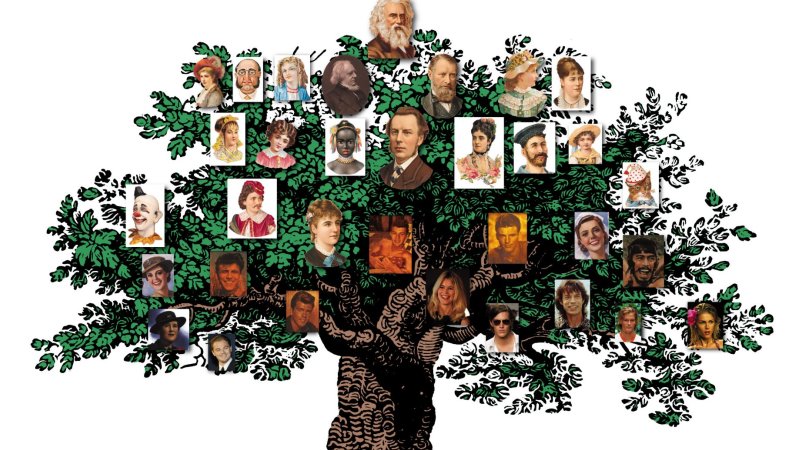 The Secretive Google Subsidiary With Access To Ancestry S Dna Database