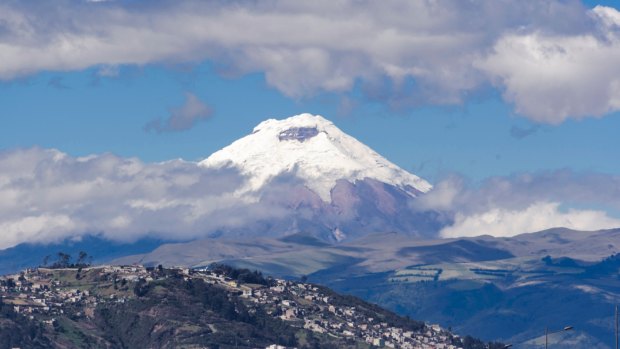 EY's report, "A new mountain to climb", warns companies that greater tax transparency means they have to be ready with slick PR slogans.