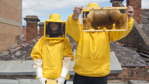 Beekeeper Nicholas Dowse and creative publishing platform Many Many are behind the Swarm Traps exhibition.