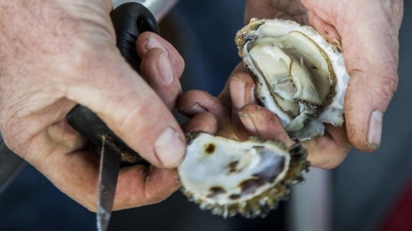 Oyster farmer Brett Weingarth welcomes visitors on his Captain Sponge's Magical Oyster Tours.