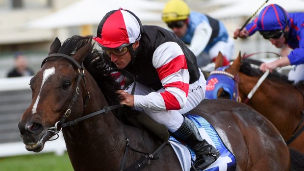 Comfortable win: Damien Oliver rides Lord of the Sky at Caulfield.