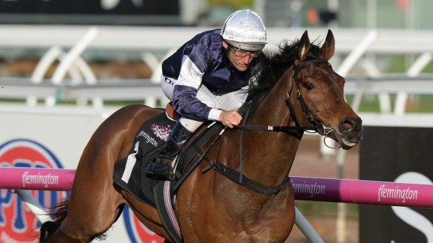 Damien Oliver rides Almandin to victory in the Japan Racing Association Trophy at Flemington.