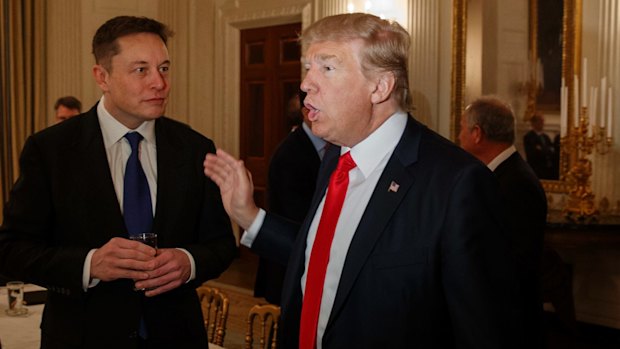 Elon Musk in February with Donald Trump.