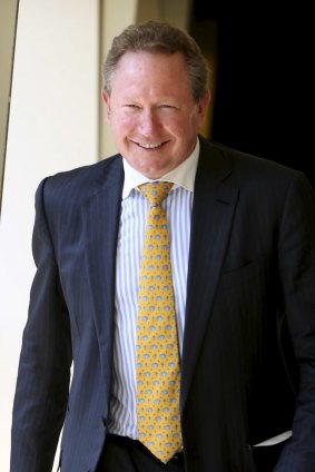 Mining magnate Andrew Forrest.