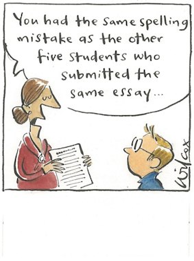 <i>Illustration: Cathy Wilcox</i>