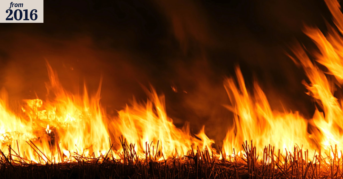 The lingering embers of discovering fire